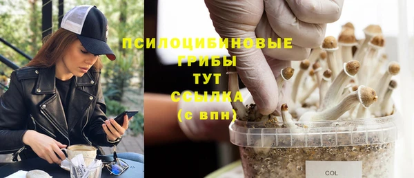 кокаин перу Михайлов