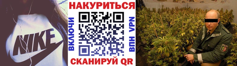 где купить наркоту  МЕГА как войти  Конопля тримм  Калач 